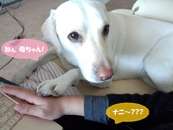 DSC_0713-02.png