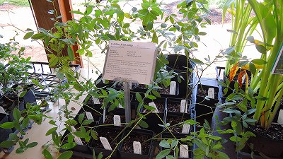 DSCN0728_201409281240118a4.jpg