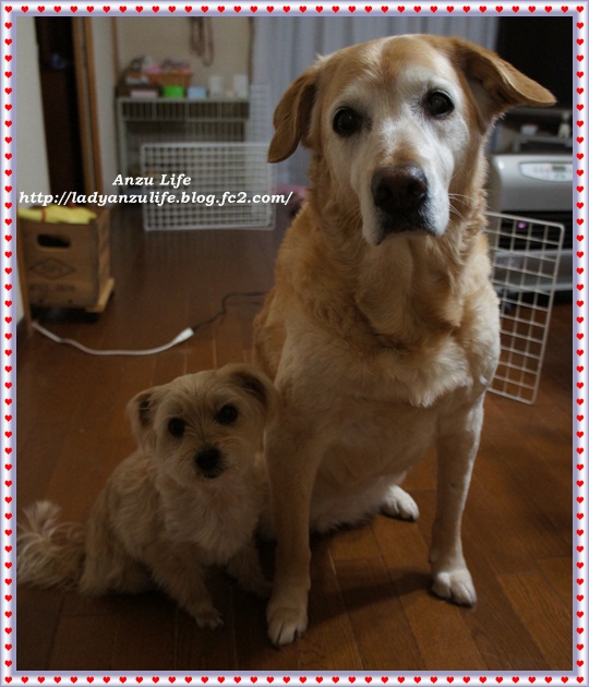 DSC00106.jpg