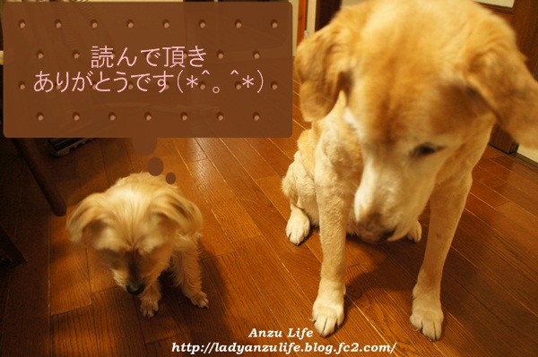 DSC00142.jpg