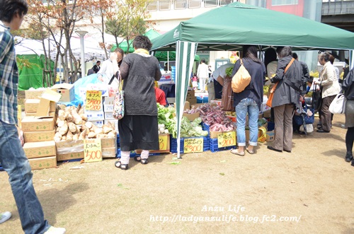 DSC_1561.jpg