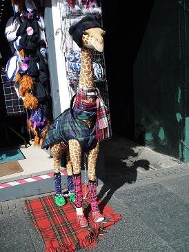 DSCF1405.jpg