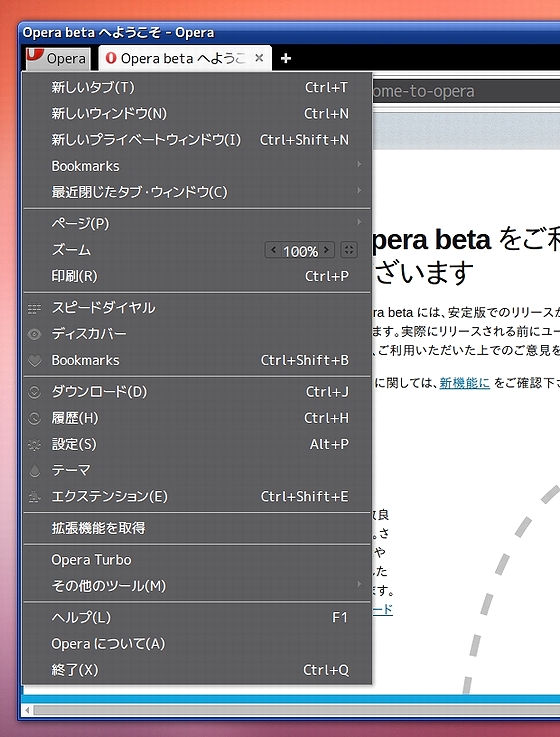 file_Opera_beta25_Precise.jpg