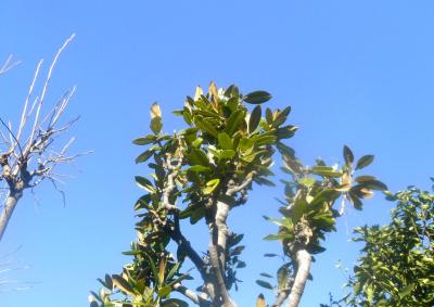 2013.01.28 アズーロ色の空
