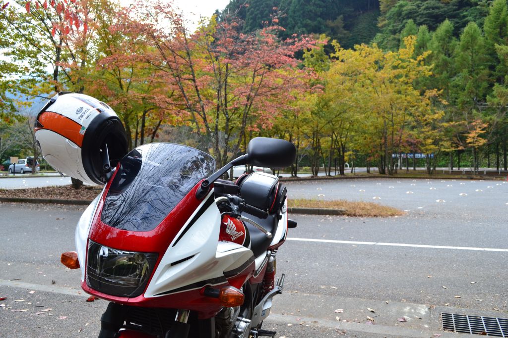 20111030001.jpg