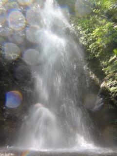 aDSC00488.jpg