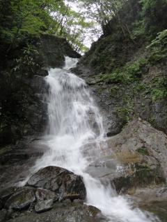 aDSC00663.jpg