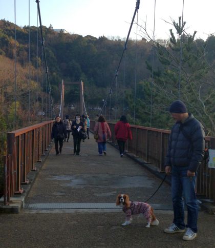 205_10Bridge.jpg