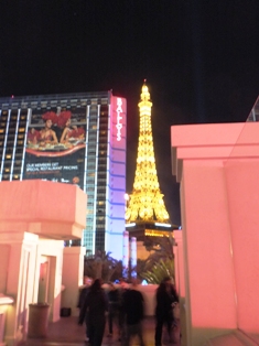 130130paristowerF2315.jpg