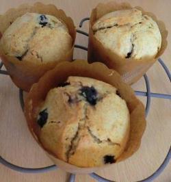 blueberry muffin