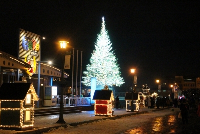 IMG_3327.jpg