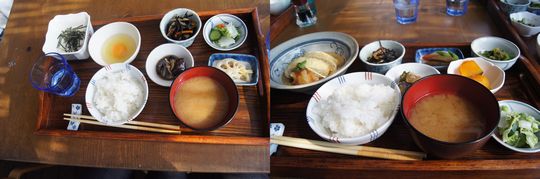 料理