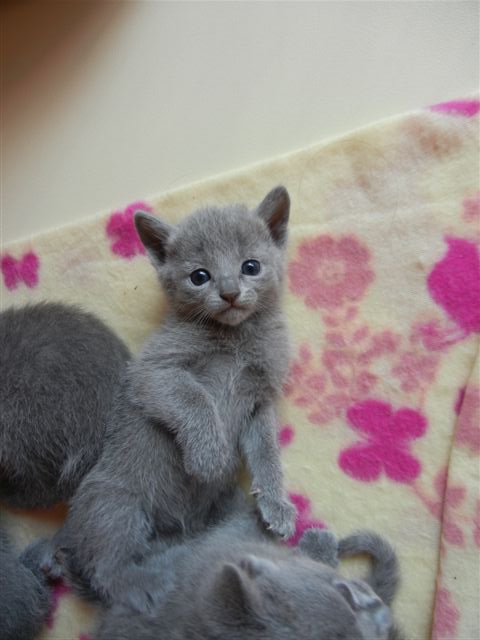 DSCN0249.jpg