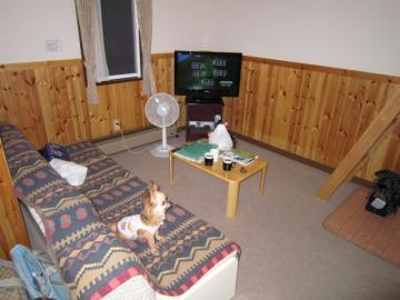 IMG_2989b.jpg