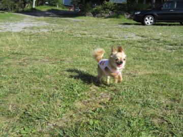 IMG_3007b.jpg