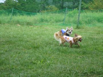 IMG_3031b.jpg