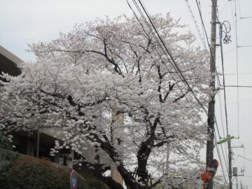 IMG_3634b.jpg