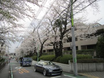 IMG_3636b.jpg