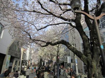 IMG_3673b.jpg