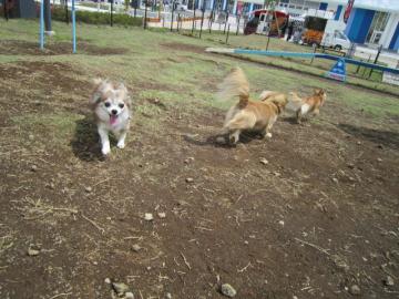 IMG_3729b.jpg