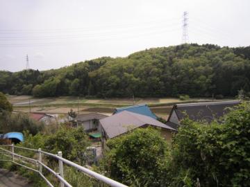 IMG_3739b.jpg