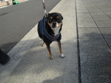 IMG_4466b.jpg