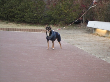 IMG_4476b.jpg