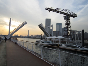 IMG_4478b.jpg