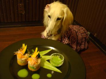 ワンコの夕食