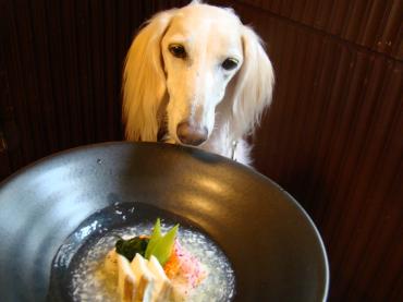 ワンコの朝食