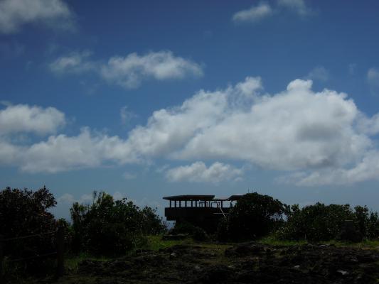 DSCN1229.jpg
