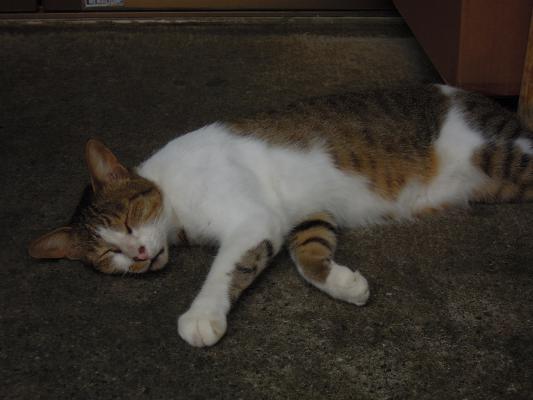 DSCN2002.jpg