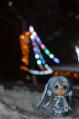 DSC_9347.jpg
