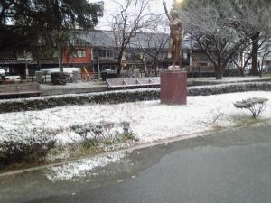 260126 6