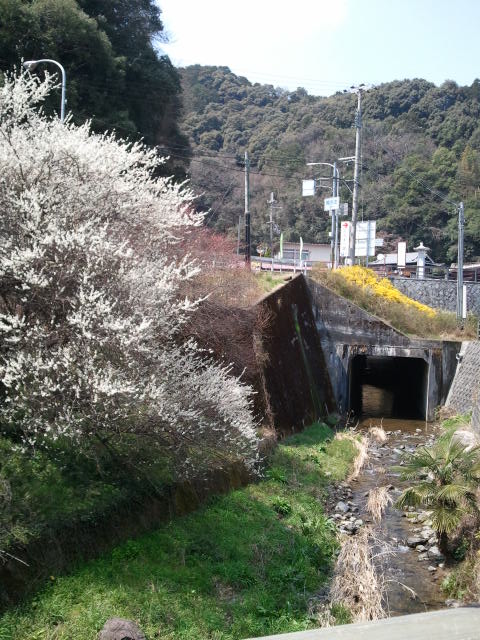 2012-04-05 11.30.43