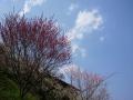 2012-04-05 12.35.30