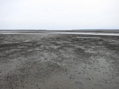 R_IMG_0427_R.jpg