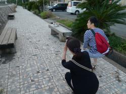 P1010239.jpg