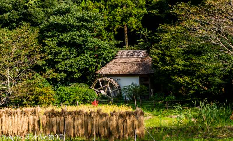 20140927_12_75 mm