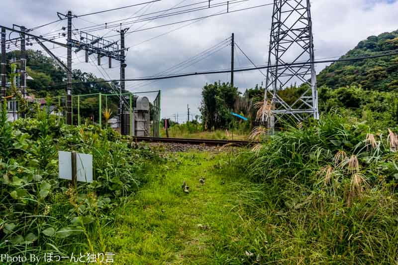 20140927_22_24 mm