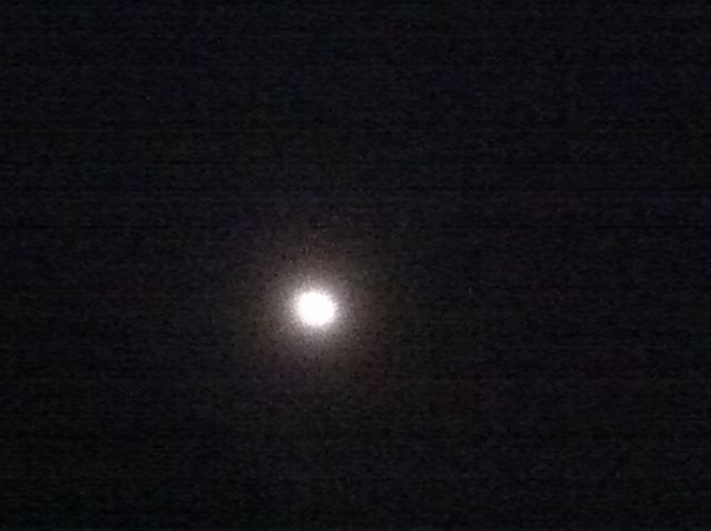 23073366_1520820165_42large