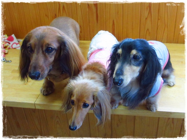 2013032008.jpg