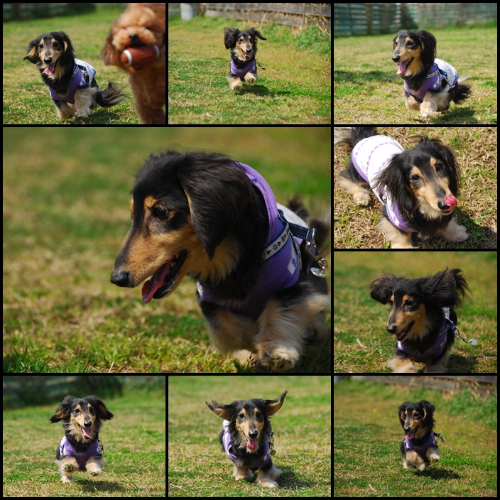2013033003.jpg