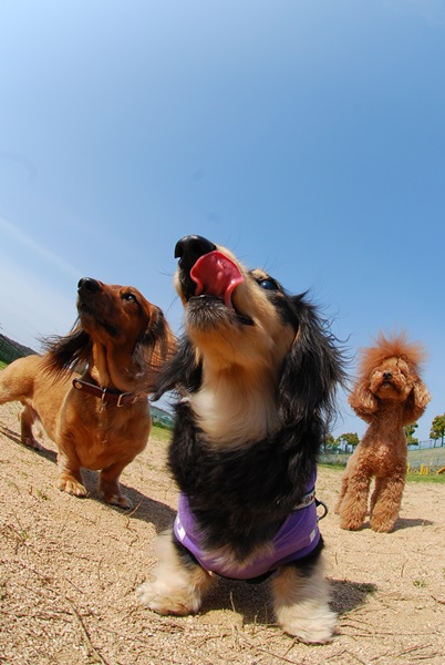 2013033012.jpg