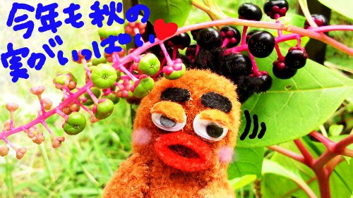 ちくちく村のお庭3☆