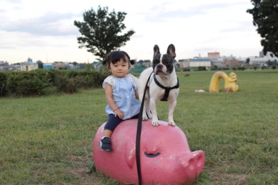 3pigs3.jpg