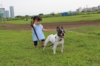 sanpo1.jpg