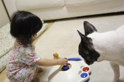 toylover1.jpg