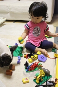 toylover5.jpg