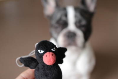 toylover6.jpg